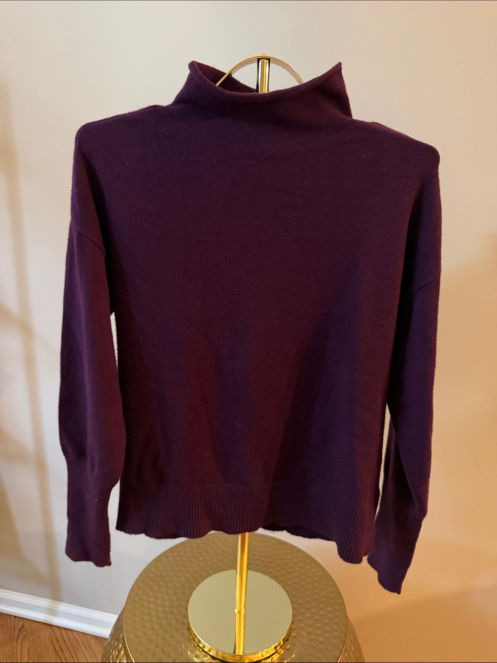 Express Turtleneck Sweater
